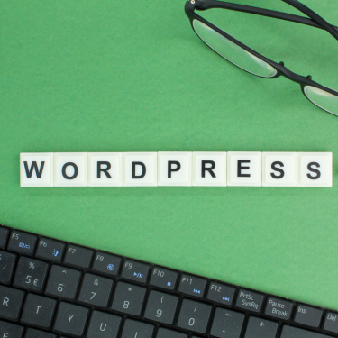 disadvantages wordpress