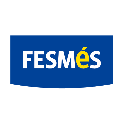 fesmes logo